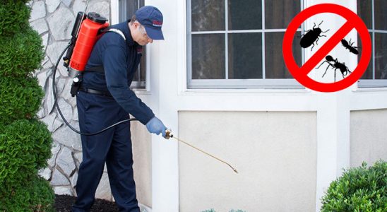 Ömerli Gümüşkurt İlaçlama böcek ilaçlama ve haşere kontrolü — ilaclama-tr.com